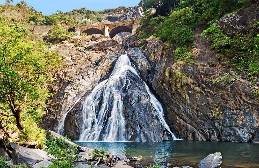 appu tour & travels
